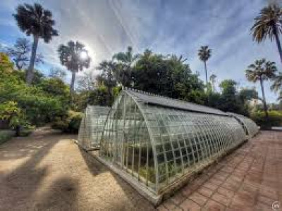 Imagen de El jardín botánico de Valencia, refugio natural